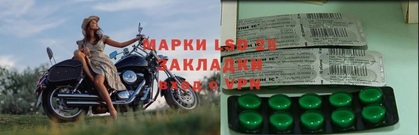стаф Арсеньев