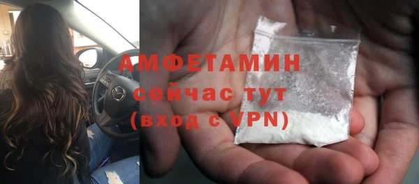 стаф Арсеньев
