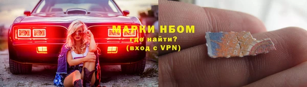 стаф Арсеньев