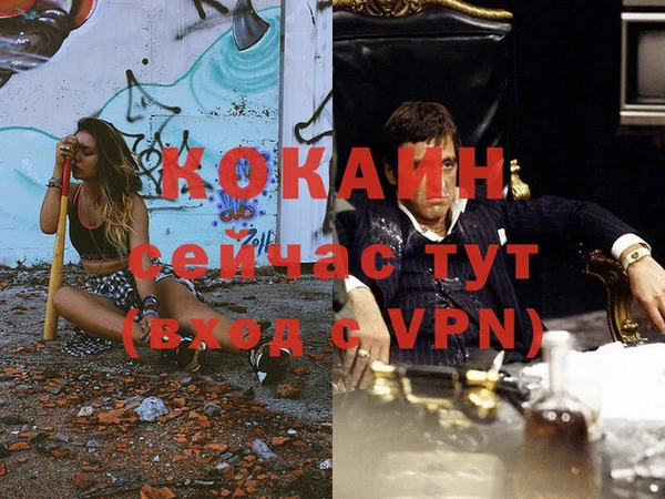 спиды Аркадак