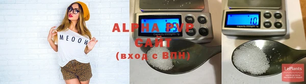 стаф Арсеньев