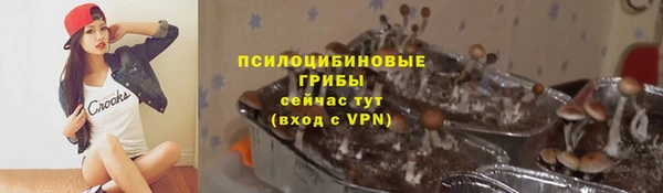 ALPHA PVP Алексеевка
