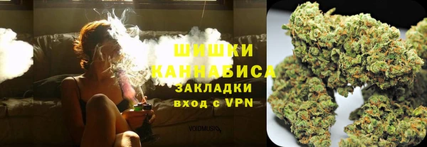 стаф Арсеньев