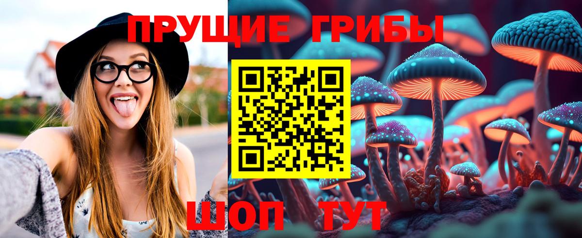 Псилоцибиновые грибы мицелий Новозыбков