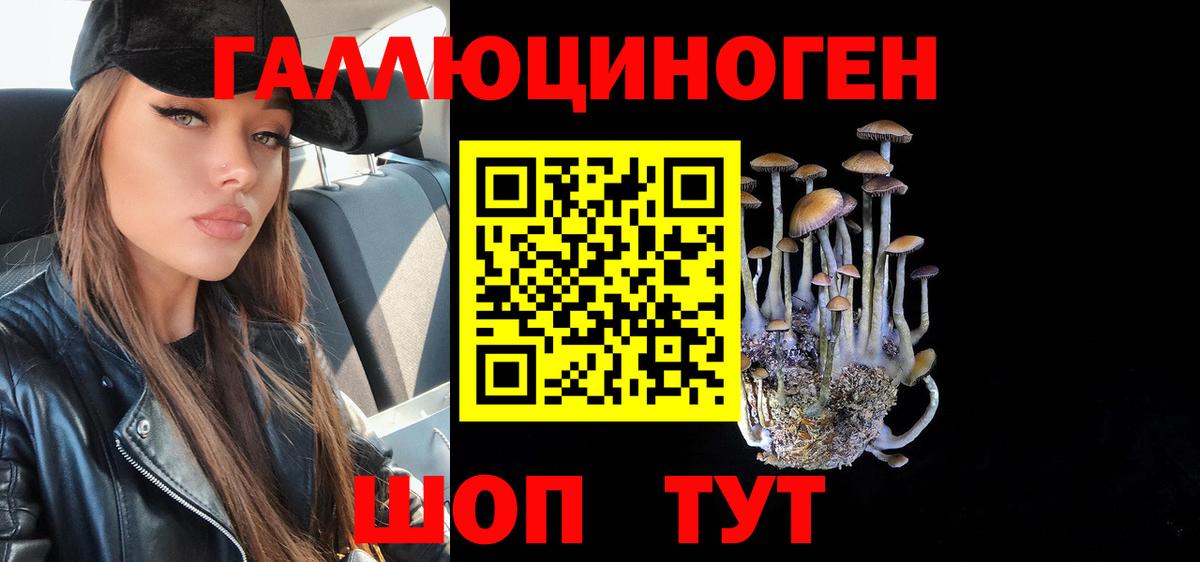 Новозыбков  Галлюциногенные грибы ЛСД  Вход с VPN  Галлюциногенные грибы мицелий 